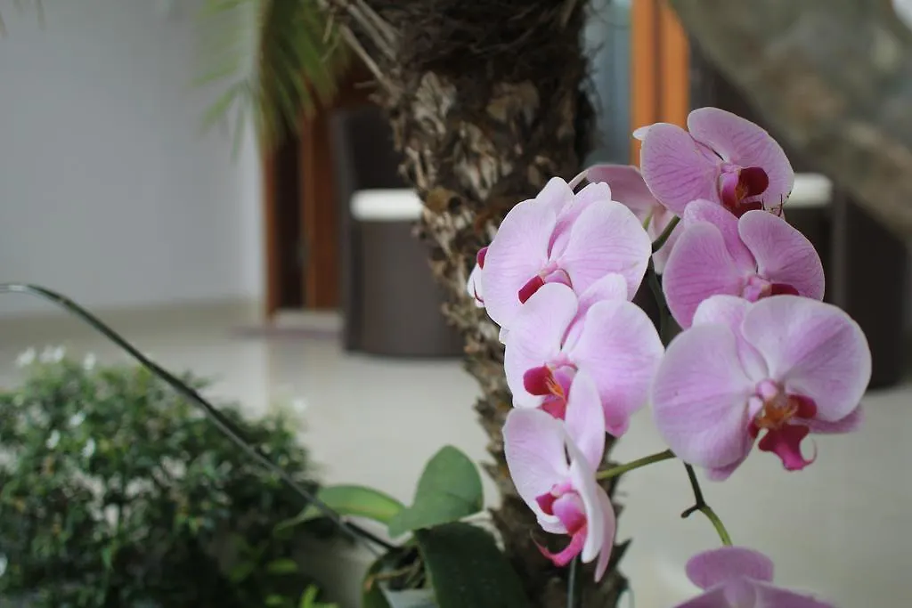 Guest house The Kutaya Hotel Kuta